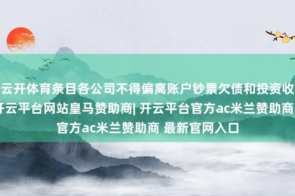 云开体育条目各公司不得偏离账户钞票欠债和投资收益本体情况-开云平台网站皇马赞助商| 开云平台官方ac米兰赞助商 最新官网入口