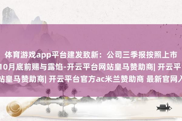 体育游戏app平台建发致新：公司三季报按照上市公司程序条目筹谋于10月底前赐与露馅-开云平台网站皇马赞助商| 开云平台官方ac米兰赞助商 最新官网入口