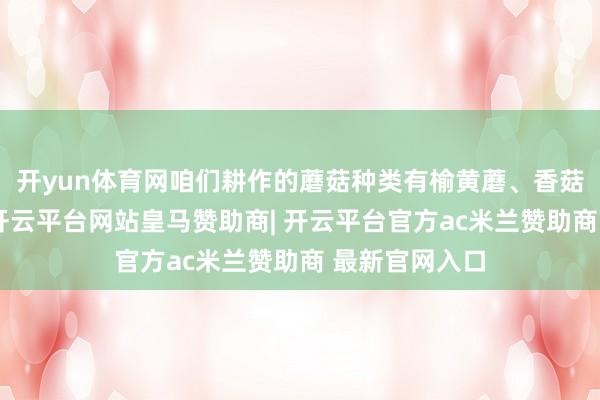 开yun体育网咱们耕作的蘑菇种类有榆黄蘑、香菇、平菇三类-开云平台网站皇马赞助商| 开云平台官方ac米兰赞助商 最新官网入口