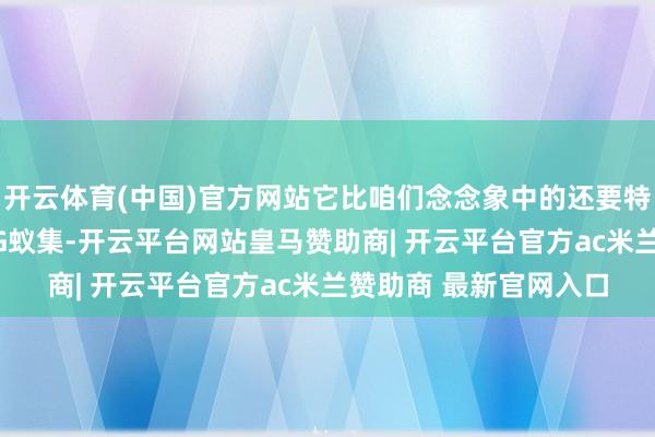 开云体育(中国)官方网站它比咱们念念象中的还要特殊少许——不仅能用5G蚁集-开云平台网站皇马赞助商| 开云平台官方ac米兰赞助商 最新官网入口