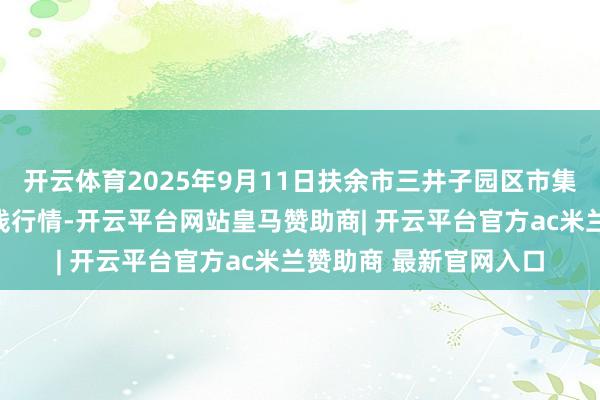 开云体育2025年9月11日扶余市三井子园区市集成就运营有限公司价钱行情-开云平台网站皇马赞助商| 开云平台官方ac米兰赞助商 最新官网入口