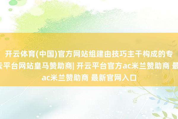开云体育(中国)官方网站组建由技巧主干构成的专科团队-开云平台网站皇马赞助商| 开云平台官方ac米兰赞助商 最新官网入口